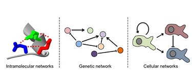 bio network